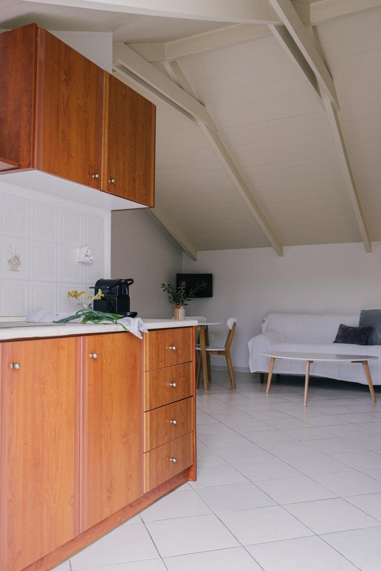 Vasilikí Blue House Apartments חדר תמונה